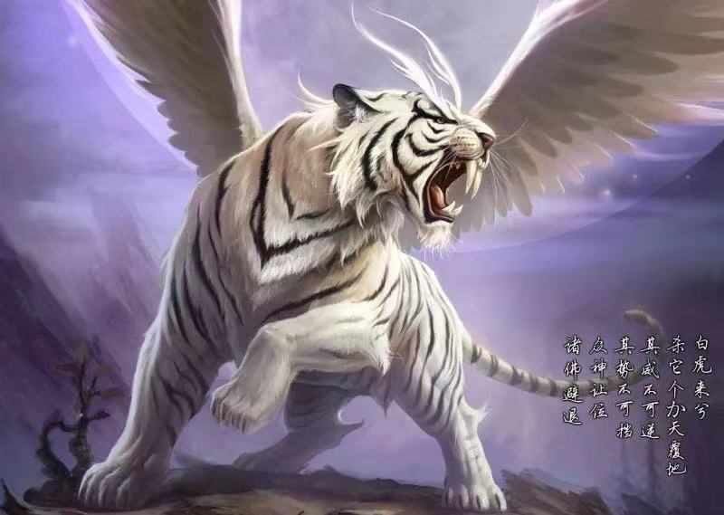 「寅虎·御风时装」 神途春节至,寅虎御风来 「寅虎·御风时装」 神途春节至,寅虎御风来